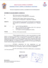 Vista preliminar de documento CODISEC