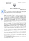 Vista preliminar de documento RD-0141-2025-DSAIA-DIRIS-LE-MINSA