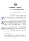 Vista preliminar de documento RESOLUCION N° 419-2024-PECHP