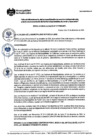 Vista preliminar de documento RA. Nº 217-2024-MPL