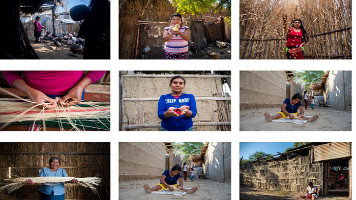 Reconocerán a fotógrafo