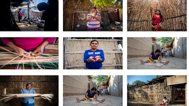 Reconocerán a fotógrafo