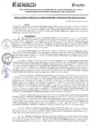 Vista preliminar de documento RES GAF 252
