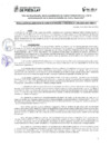 Vista preliminar de documento RES GAF 246