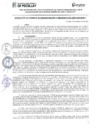 Vista preliminar de documento RES GAF 253