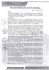 Vista preliminar de documento rgm-005