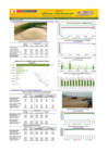 Vista preliminar de documento Boletín de abastecimiento y precio del ARROZ - 09/01/2025