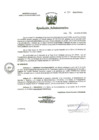Vista preliminar de documento R.A. Nº04-2025-HNAL-OP