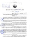 Vista preliminar de documento R.D N° 004-2025