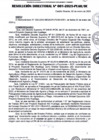 Vista preliminar de documento rd001-2025