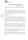 Vista preliminar de documento RG NRO 007-2025 GM