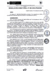Vista preliminar de documento rd293-2024