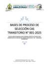 Vista preliminar de documento BASES CONVOCATORIA CAS UGEL BAGUA 2025