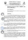 Vista preliminar de documento RD Nº 006687-2024-UGELJ