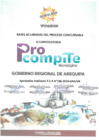 Vista preliminar de documento BASES ACLARADAS  PROCOMPITE TECNOLOGICO II