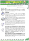 Vista preliminar de documento RA 272 2024