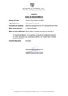 Vista preliminar de documento Resolución N° 1017-2024-SGGTH-GAF-MSS - AVISO DE SINCERAMIENTO