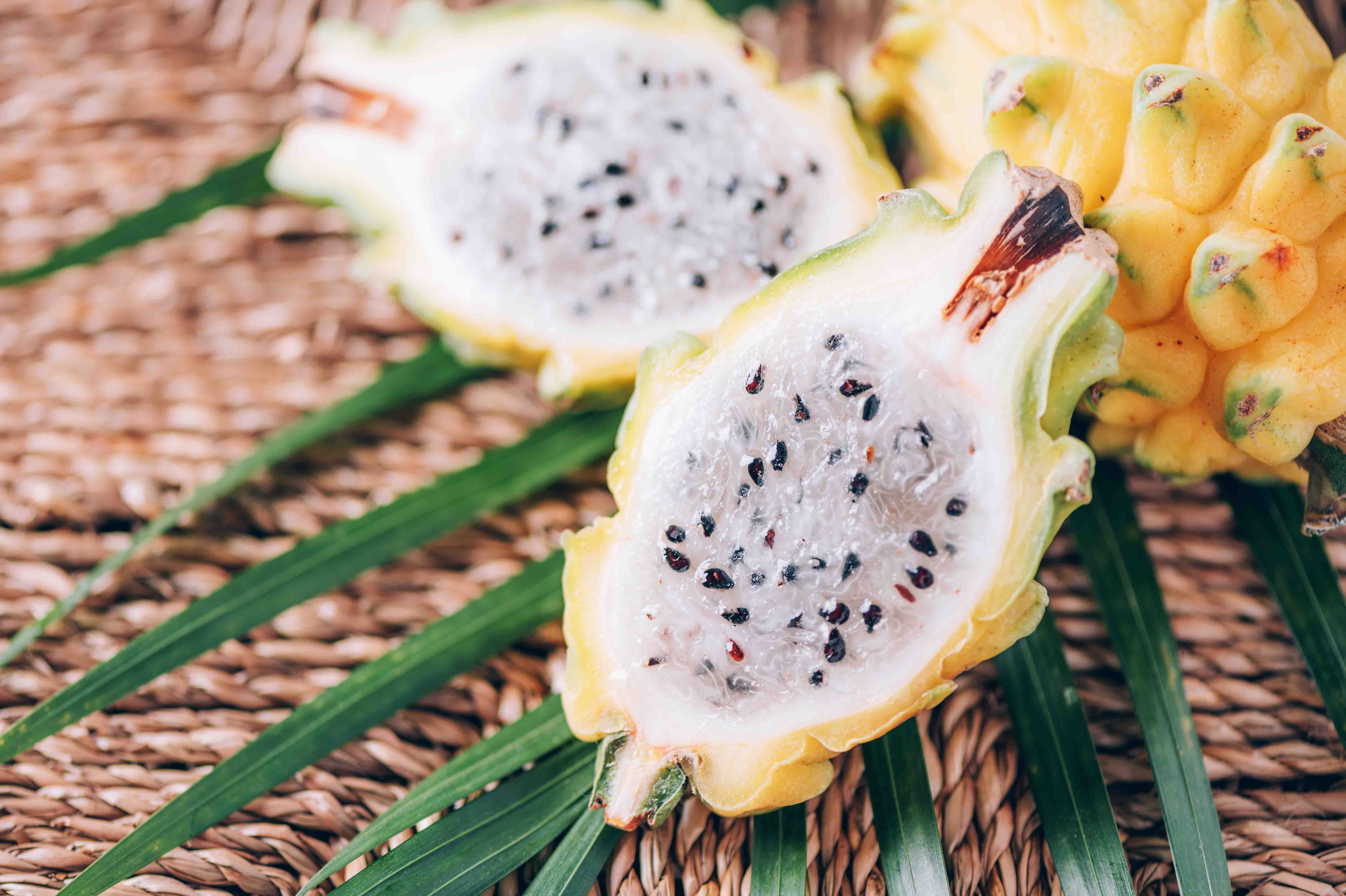 Fruta del verano: conoce los requisitos de calidad de la pitahaya