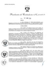 Vista preliminar de documento RC_104-2020-CG.pdf