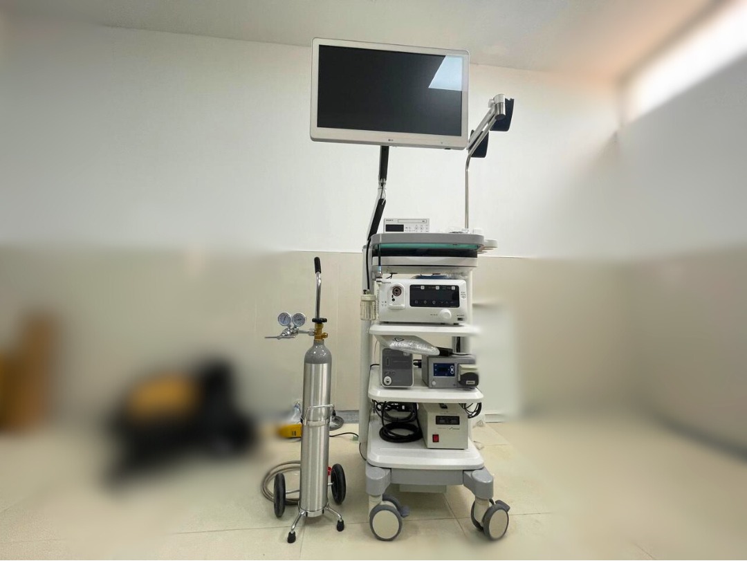 endoscopia2