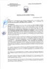 Vista preliminar de documento RD-0151-2025-DSAIA-DIRIS-LE-MINSA