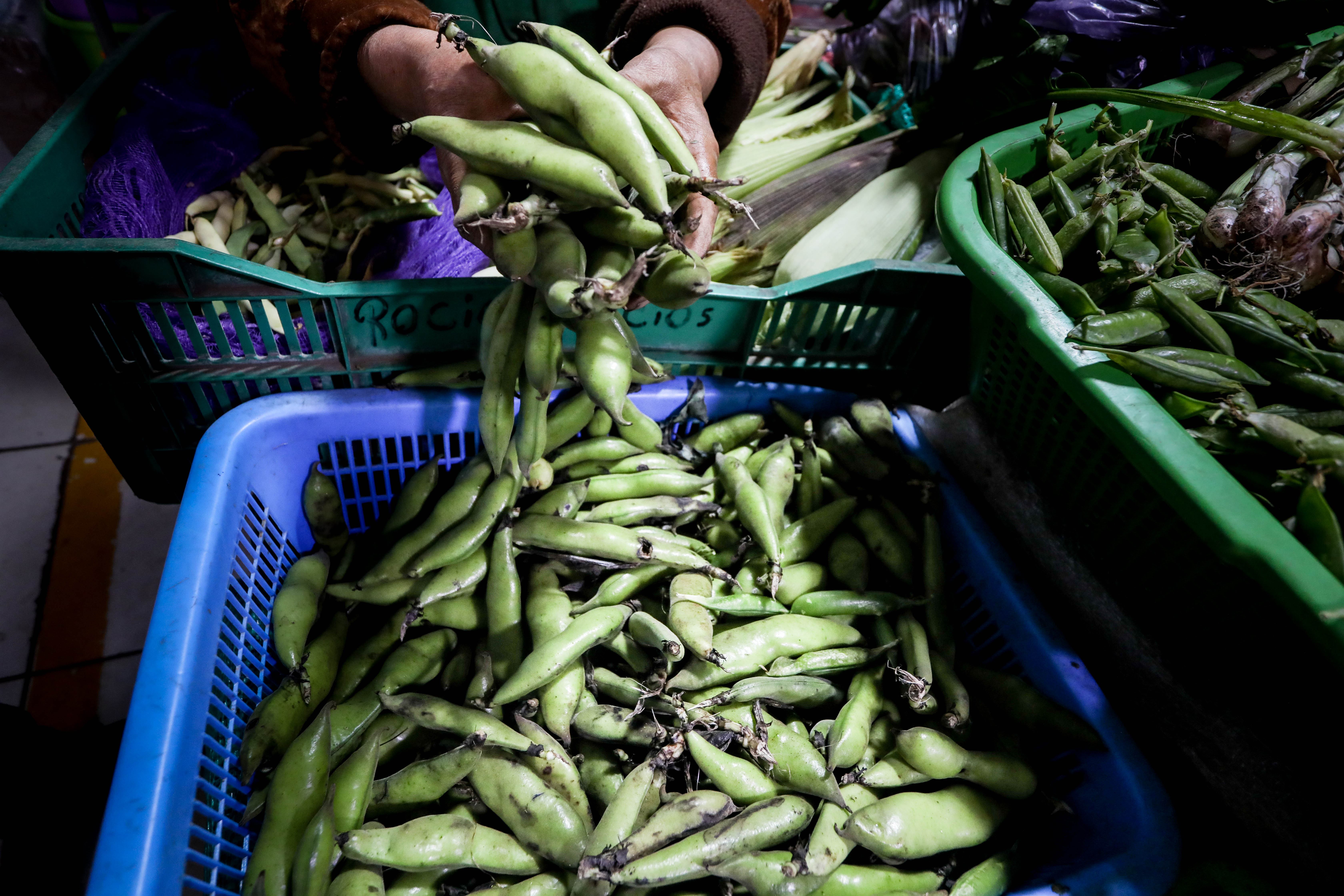 Hoy en los mercados mayoristas hay ofertas en haba, choclo, camote, piña, mango, melón y otros