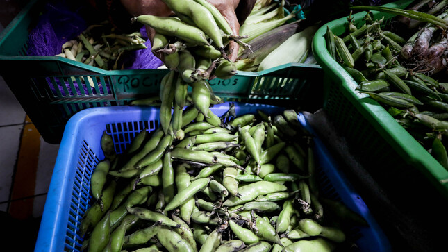 Hoy en los mercados mayoristas hay ofertas en haba, choclo, camote, piña, mango, melón y otros