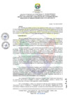 Vista preliminar de documento RCO N° 001-2025