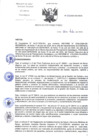 Vista preliminar de documento RD-223-2024-DG-INCN