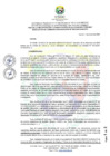 Vista preliminar de documento RCO N° 003-2025