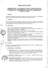 Vista preliminar de documento DIRECTIVA N° 009-2018-MDB
