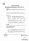 Vista preliminar de documento DIRECTIVA N° 004-2018-MDB