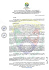 Vista preliminar de documento RCO N° 005-2025