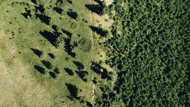 Midagri refuerza compromiso con el medio ambiente con reporte de Huella de Carbono Organizacional
