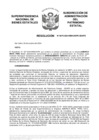 Vista preliminar de documento Resolución N° 0875-2024/SBN-DGPE-SDAPE