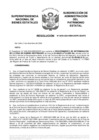 Vista preliminar de documento Resolución N° 0955-2024/SBN-DGPE-SDAPE