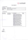 Vista preliminar de documento Formato Apéndice 2