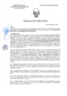 Vista preliminar de documento RD-0166-2025-DSAIA-DIRIS-LE-MINSA