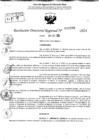 Vista preliminar de documento RDR 10205-2024