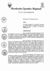 Vista preliminar de documento R.E.R 223
