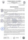 Vista preliminar de documento Resolución Directoral N.° 729-2024-HSR-AND-DE