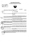 Vista preliminar de documento RDR 10213-2024