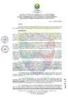 Vista preliminar de documento RCO N° 011-2025
