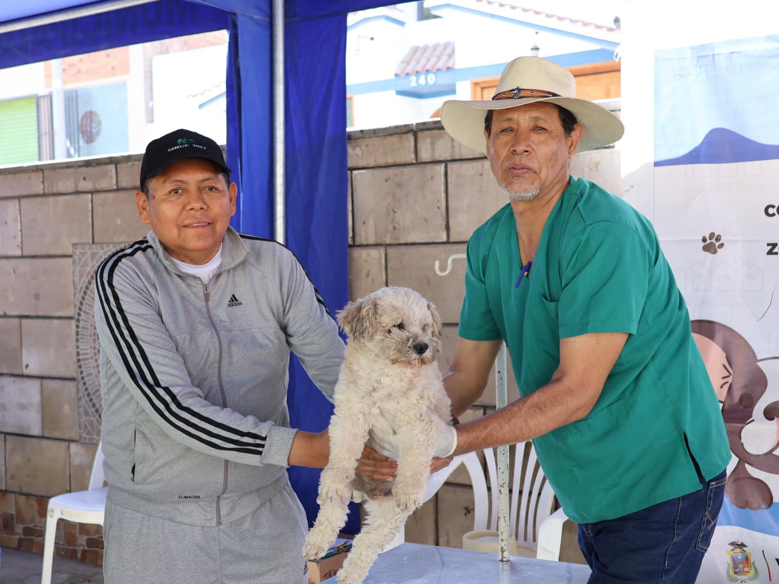 La Municipalidad Provincial Mariscal Nieto a través de la Gerencia de Servicios a la Ciudad, mediante la Unidad Funcional de Zoonosis, con apoyo del Ministerio de Salud y la asociación de voluntarios “Salvando Patitas” viene realizando una gran fiesta para nuestro amigos de cuatro patitas