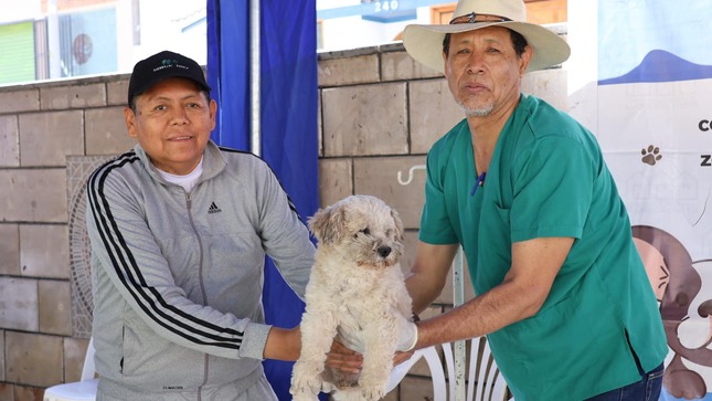 La Municipalidad Provincial Mariscal Nieto a través de la Gerencia de Servicios a la Ciudad, mediante la Unidad Funcional de Zoonosis, con apoyo del Ministerio de Salud y la asociación de voluntarios “Salvando Patitas” viene realizando una gran fiesta para nuestro amigos de cuatro patitas