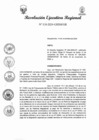 Vista preliminar de documento RER-318