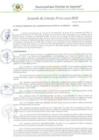 Vista preliminar de documento AC_001_2025_MDI