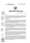 Vista preliminar de documento RD N° 327-2024-DG-INMP MINSA