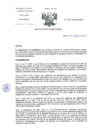 Vista preliminar de documento RD-236-2024-DG-INCN