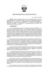 Vista preliminar de documento RD-003-2025-CONCYTEC-DPP